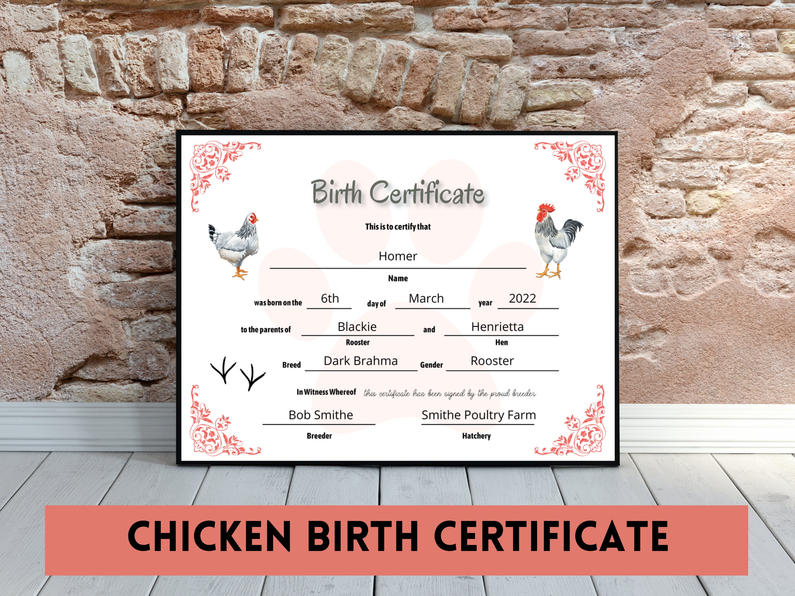 Chicken Printable Birth Certificate Breeder Record Poultry History 4H ...