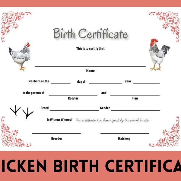 Chicken Printable Birth Certificate - Breeder Record - Poultry History - 4H Project - Child's Room -  Instant Download - US Letter Size