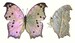 Pack of 2 butterflies Salamis parhassus ws 90mm for all your taxidermy art projects