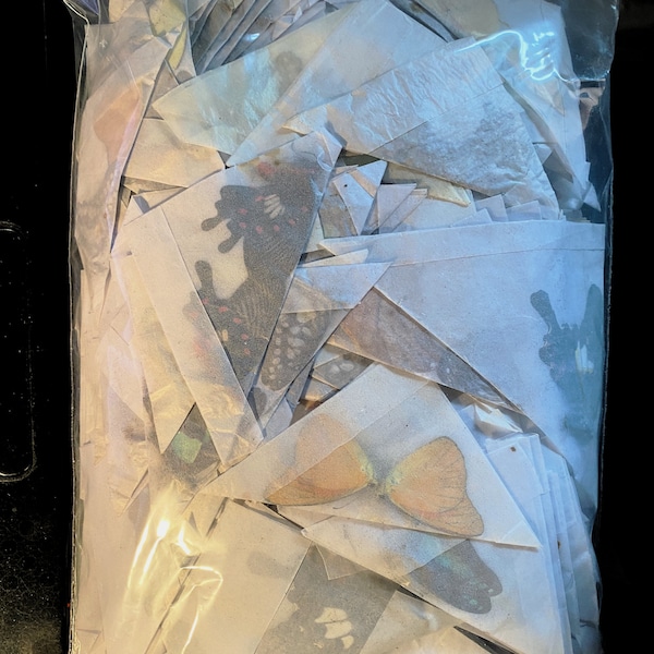 Set of 100 mixed butterflies from Malaysia a1 to a- unspread for all your taxidermy art projects