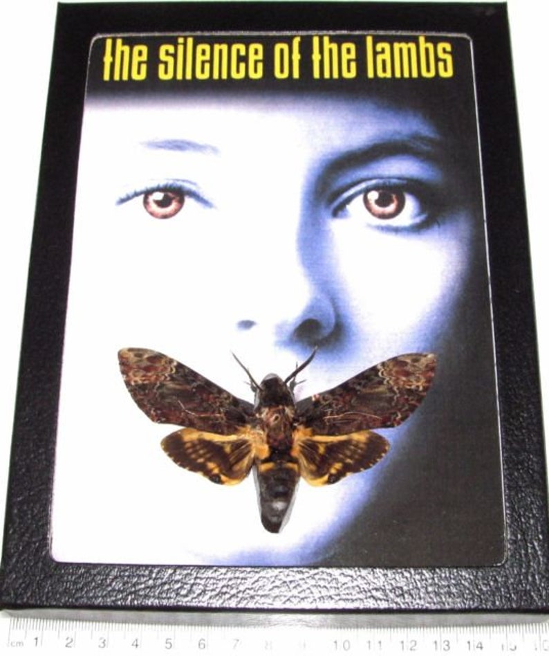 deaths head hawkmoth wings closed a1aa- FREE SHIPPING Pack of 2 hawkmoths acherontia lachesis