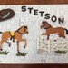 Horse themed Photo Album -Stetson (3)