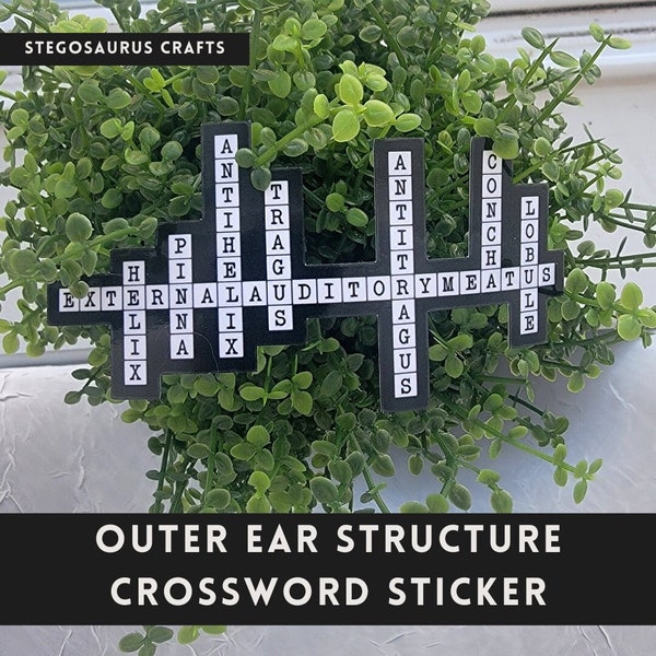 Structures of the outer ear sticker - crossword with EAM, helix, pinna, antihelix, tragus, antitragus, concha, lobule