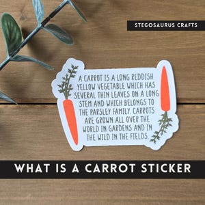 May include: A white die-cut sticker featuring two orange carrot illustrations and black text that reads: A CARROT IS A LONG REDDISH YELLOW VEGETABLE WHICH HAS SEVERAL THIN LEAVES ON A LONG STEM AND WHICH BELONGS TO THE PARSLEY FAMILY. CARROTS ARE GROWN ALL OVER THE WORLD.