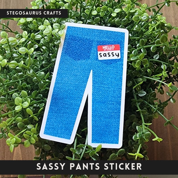 Jean Pants Sticker Etsy