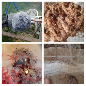 May include: A four-panel image showing stages of a craft project. The top left shows a large black object in a clear plastic bag. The top right shows a pile of brown, curly fibre. The bottom left shows a red mesh in a soapy liquid. The bottom right shows white fibre.