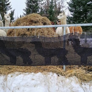 May include: A group of alpacas behind a wire fence, with a black mesh feeder in front. The alpacas have white, brown, and tan fur. A large pile of hay sits behind the fence. The ground is covered in snow and straw.