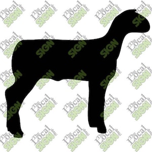 Vector - Show Lamb - Digital Download