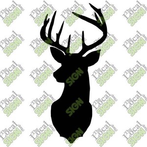 Vector - Dear Head - Digital Download