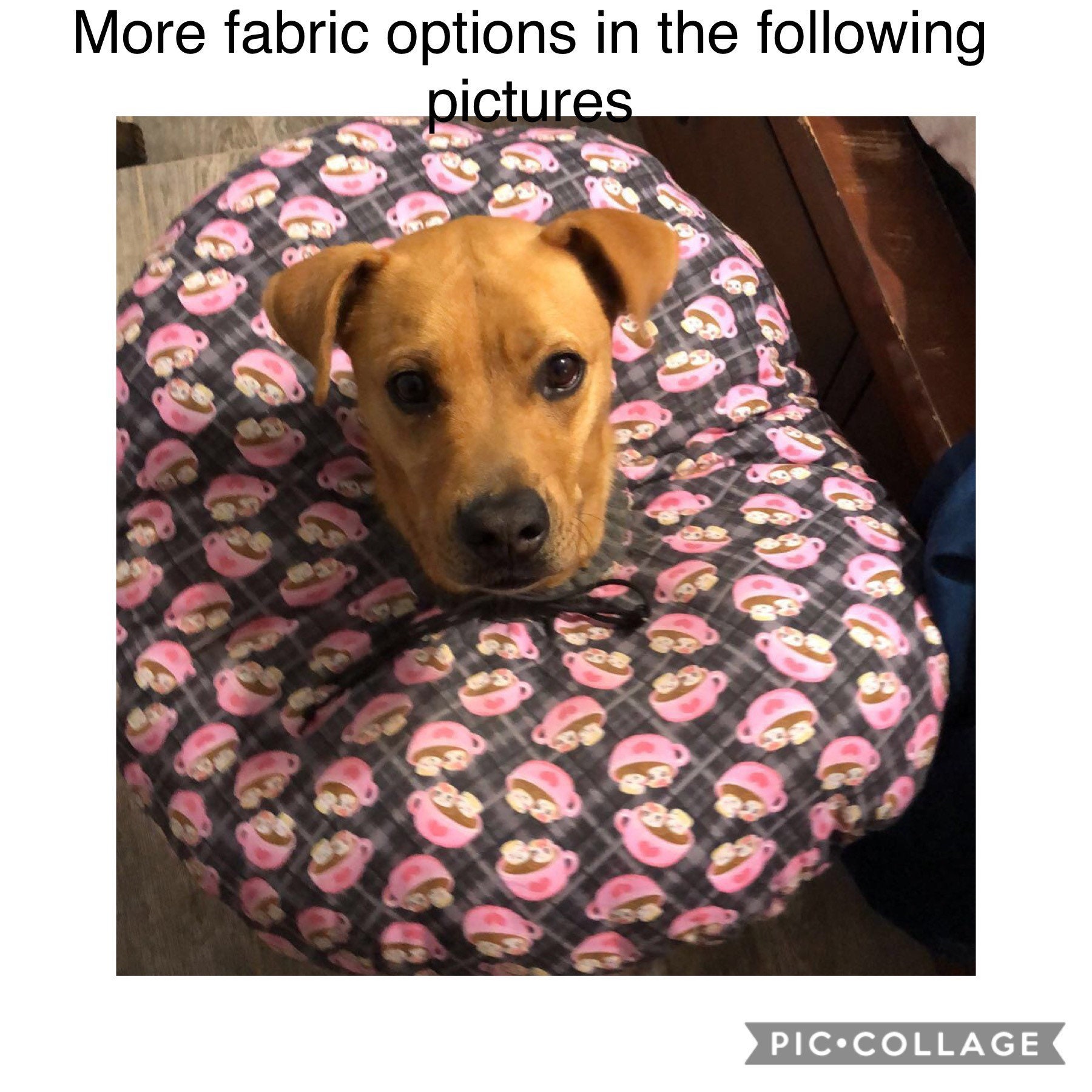 Dog Cone for sale Only 4 left at 70