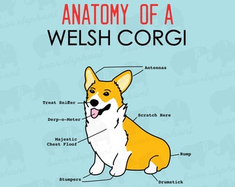 Corgi Digital Art Poster Vector Pembroke Welsh Corgi Wall Art Dog Room Decor Corgi