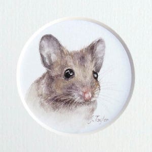 May include: A watercolour painting of a mouse. The mouse has grey and brown fur, with large ears and small, dark eyes. The painting is set against a white background and is signed "J. Taylor".