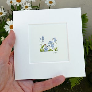 Non-ti-scordar-di-me e coccinella/coccinella: stampa di un acquerello in miniatura di Jan Taylor. Piccola opera d'arte, 3,2 cm quadrati.