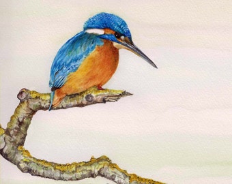 KINGFISHER - Print of an original watercolour painting by Jan Taylor.