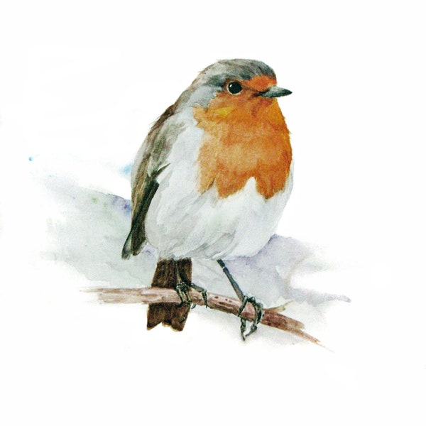 ROBIN 2: Fine quality signed print of a watercolour bird painting by Jan Taylor.