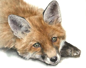Peut inclure: Une peinture à l'aquarelle d'un renardeau roux couché, la tête posée sur le sol. Le renard a une fourrure brune, une poitrine blanche et des yeux verts. L'arrière-plan est blanc.