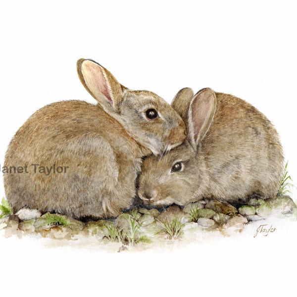 Rabbit Paintings - Etsy