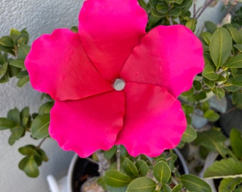 Vibrant Pink Hibiscus Flower Hummingbird Feeder for Patio or Garden