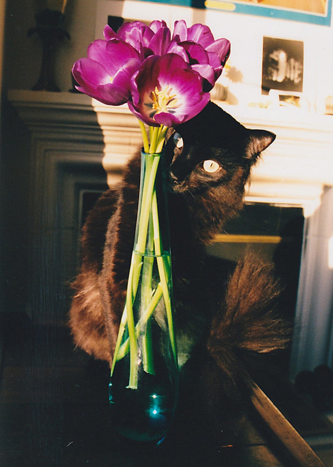 Lustre Fine Art Print of Original Photograph the Etsy