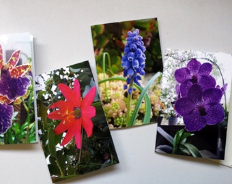 Set of four Flower photograph Greeting Cards