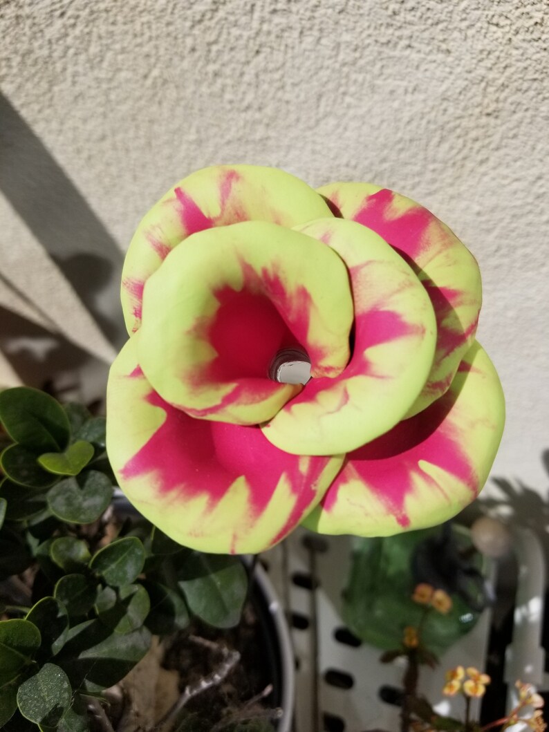 Vibrant Electric Green And Pink Rose Hummingbird Feeder For Etsy