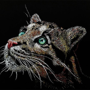 Op de afbeelding: Close-up van het gezicht van een nevelpanter, met groene ogen en een roze neus, tegen een zwarte achtergrond. De vacht van het dier is gedetailleerd met witte en bruine markeringen.