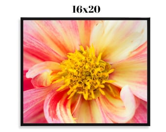 SALE Dahlia - Framed 16x20 Print, Fine Art Photograph, Floral, Spring, Wildlife, Nature
