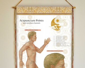 Acupuncture Points Chart: Chinese Medicine Wall Hanging, Set of Two