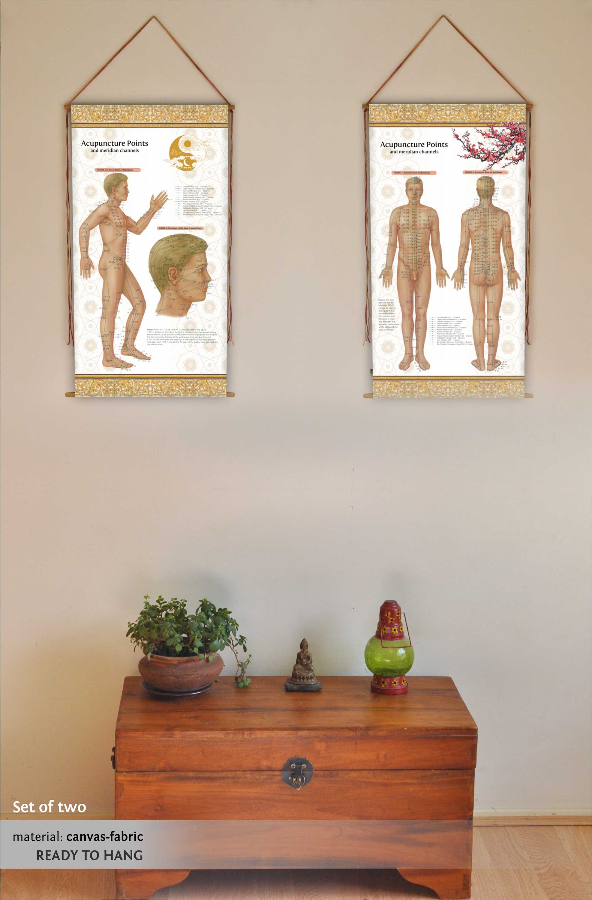 Acupuncture Points Chart: Chinese Medicine Wall Hanging, Set of Two ...
