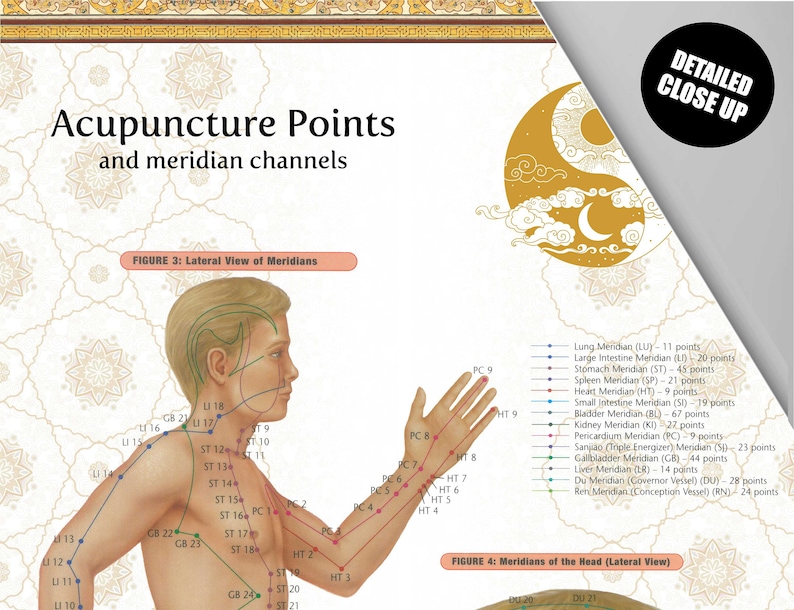 Acupuncture Poster Acupuncture Chart Acupuncture Art Etsy