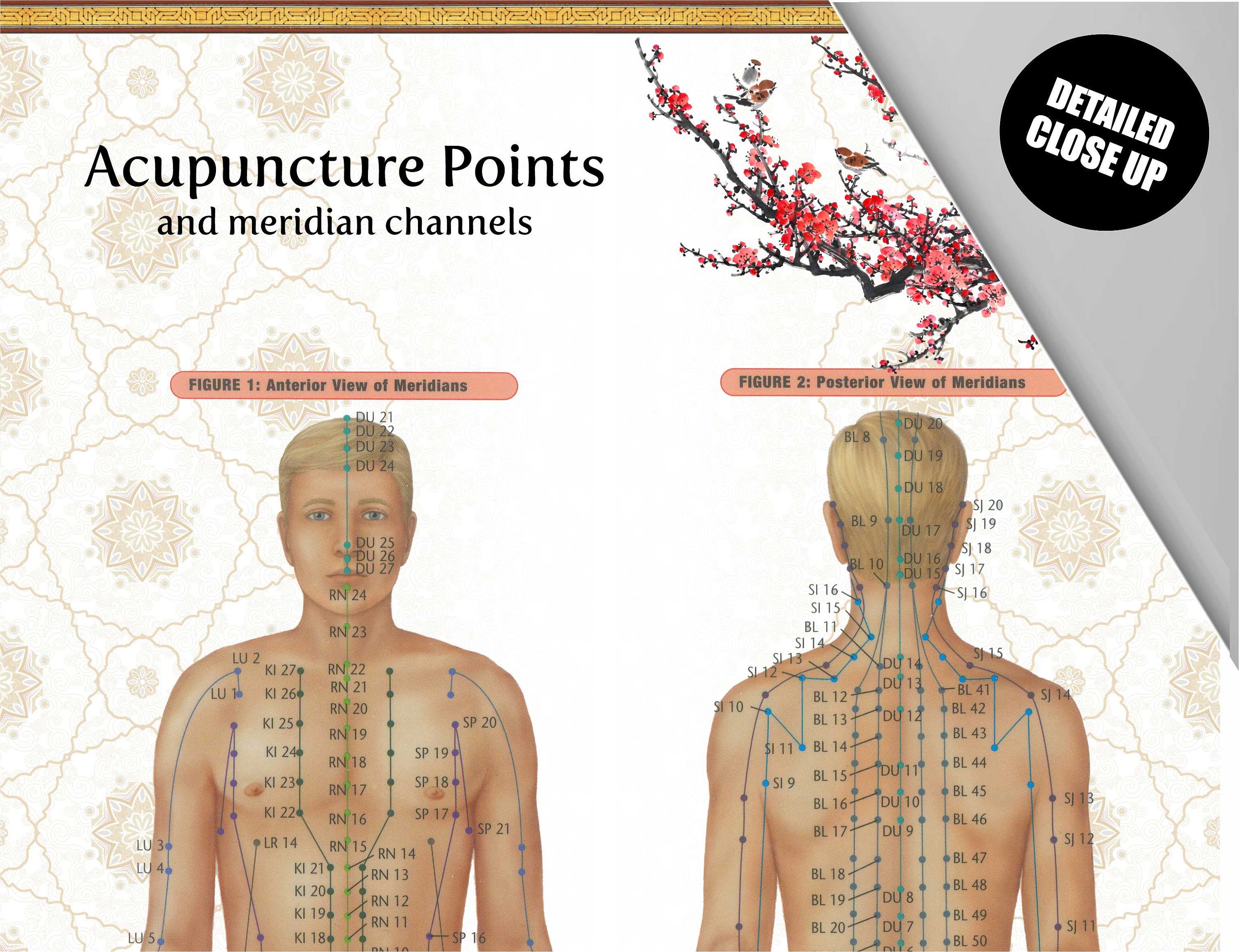 Acupuncture Poster Acupuncture Chart Acupuncture Art Etsy