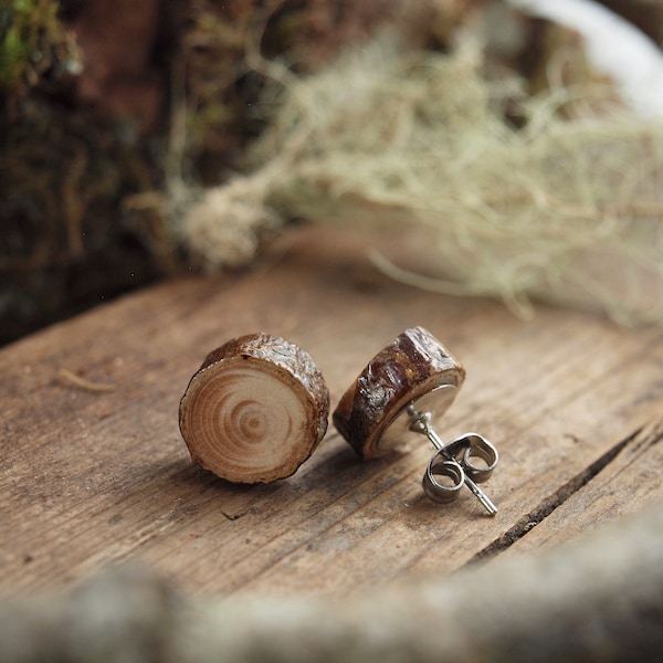 Boucles d’oreilles en bois de sapin / Boucles d’oreilles en bois / Boucles d’oreilles en bois minimalistes / Boucles d’oreilles Live Edge / Boucles d’oreilles durables / Clous unisexes / Hypoallergénique