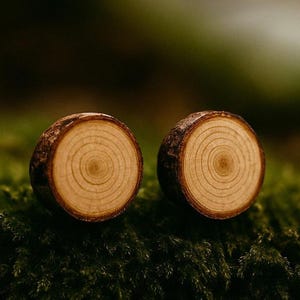 Fir Wood Stud Earrings/ Wood Post Earrings/ Minimalist Wood Earrings/ Stud Earrings/ Sustainable Earrings/ Unisex  Studs/ Hypoallergenic