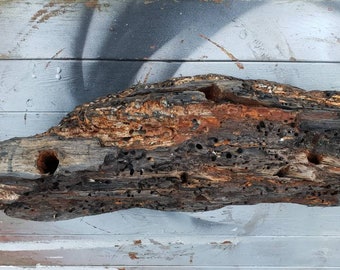 garden story driftwood garden story driftwood