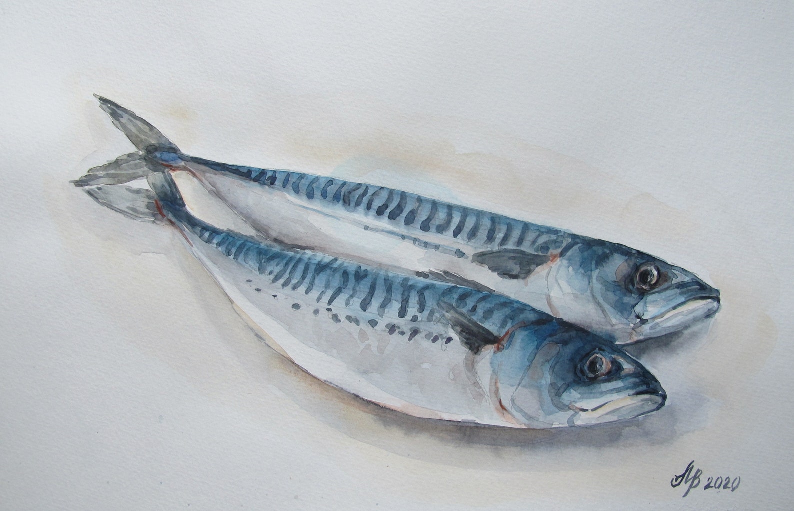 Fish Herring. Original Watercolor Painting Handwork Etsy