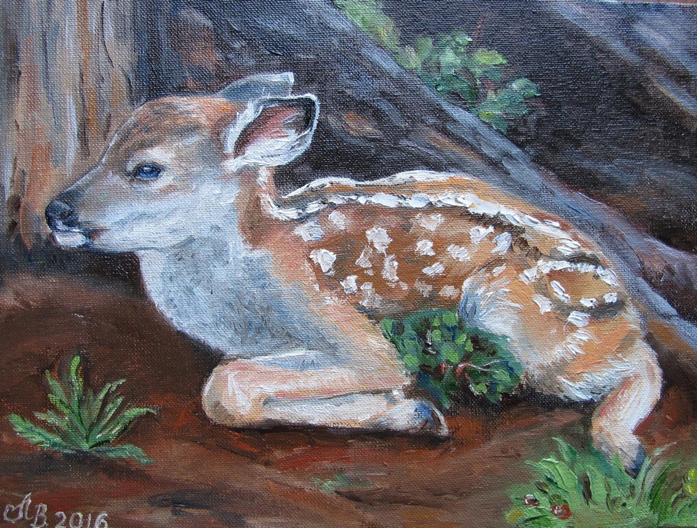 Fawn. Original oil painting handmade 5x7 deer Etsy