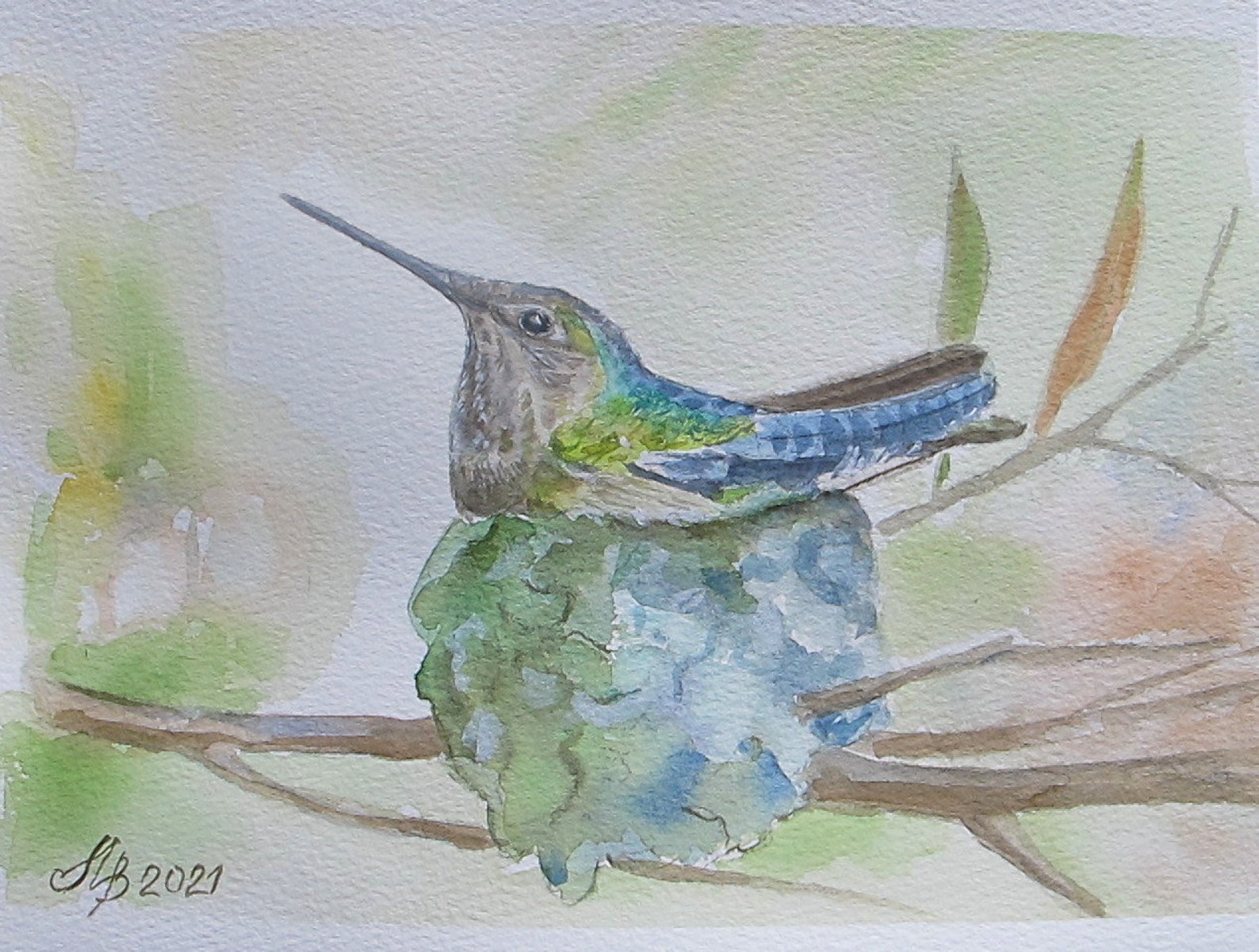 Hummingbird in Nest Original Watercolor Painting Handmade 6x Etsy