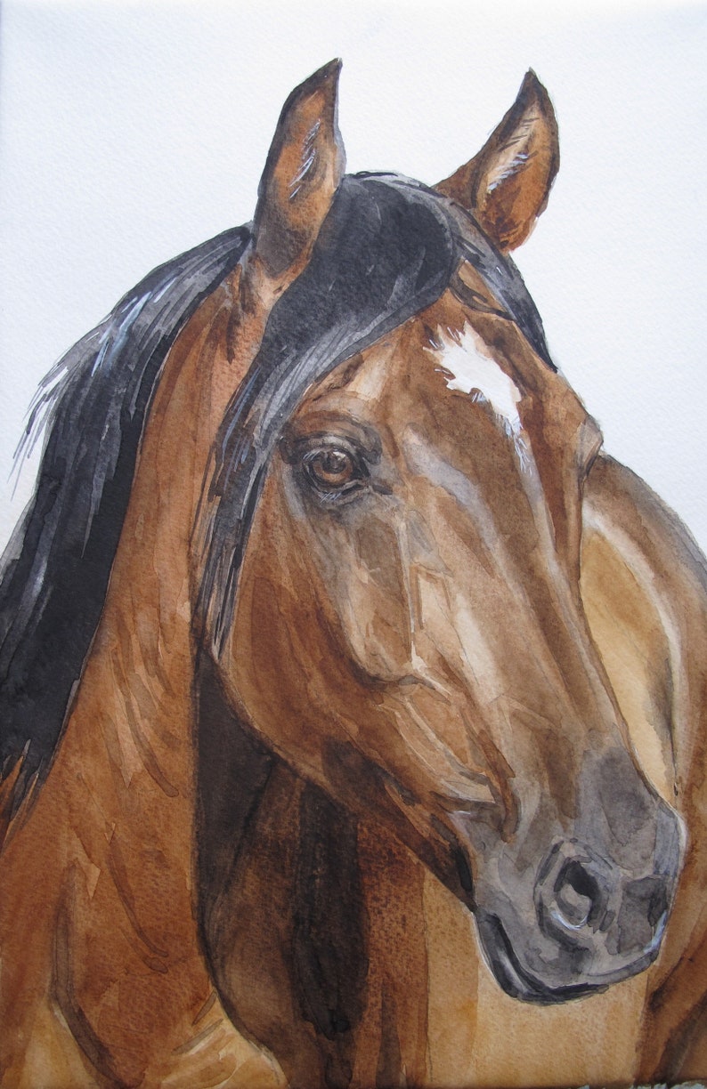 Original-Porträt von Haustieren auf einem Aquarell-Foto zu Bild 1