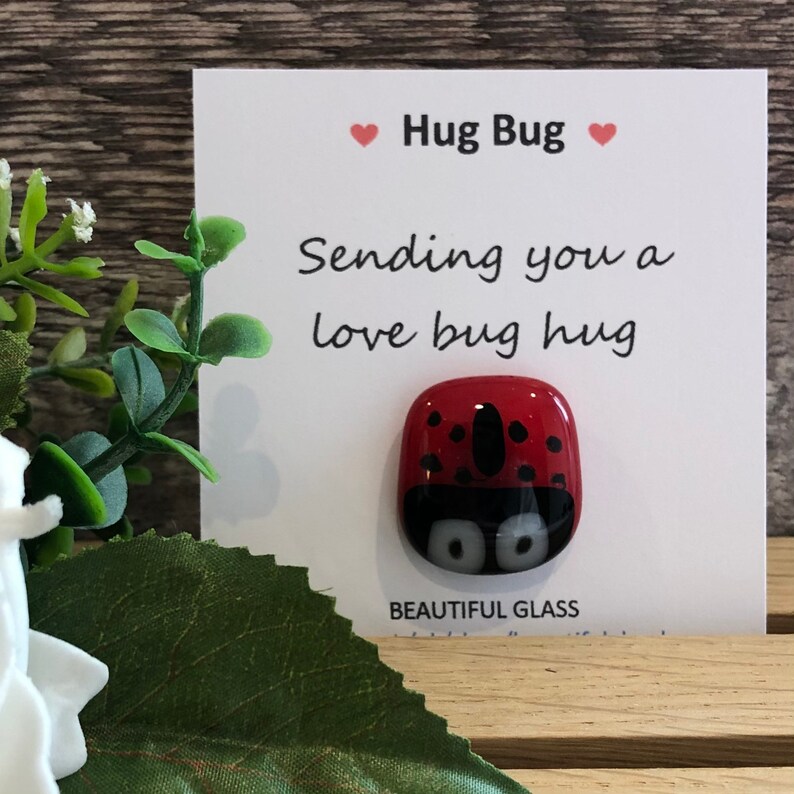 Love Bug Pocket Bug Hug Ladybird Thinking of You Gift Etsy