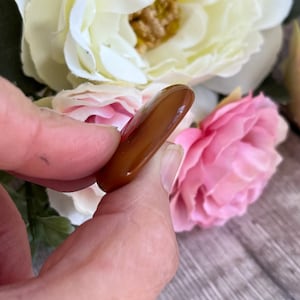 Pu&ograve; includere: Una pietra di carneola marrone liscia e lucida a forma di lacrima.