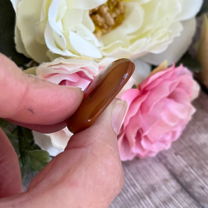 Pu&ograve; includere: Una pietra di carneola marrone liscia e lucida a forma di lacrima.