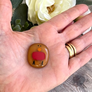 Pu&ograve; includere: Un piccolo ornamento rotondo di vetro con un design di pettirosso. Il pettirosso &egrave; marrone con il petto rosso e gli occhi neri. L'ornamento &egrave; sulla mano di una persona.