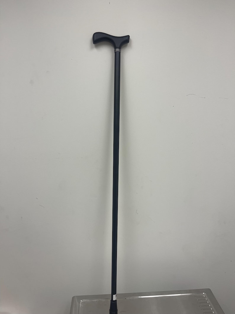 May include: A black walking stick with a T-shaped handle.