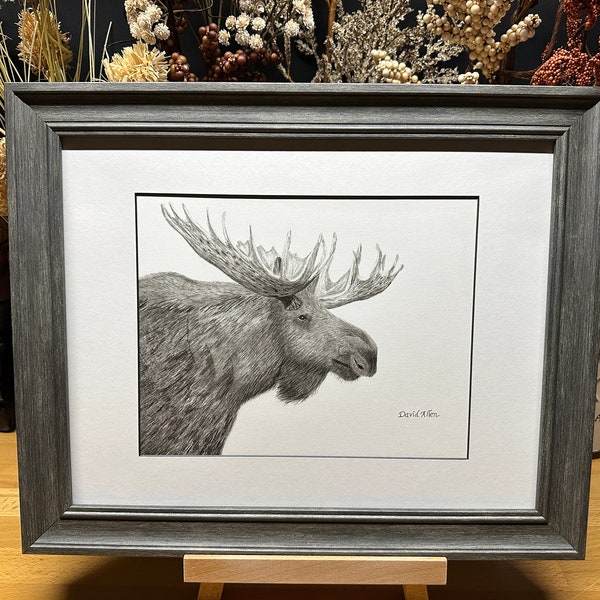 Bull Moose Drawing - Etsy