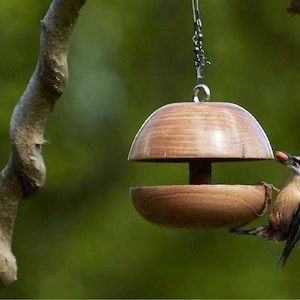 Oak Apple core Bird feeder Medium image 3