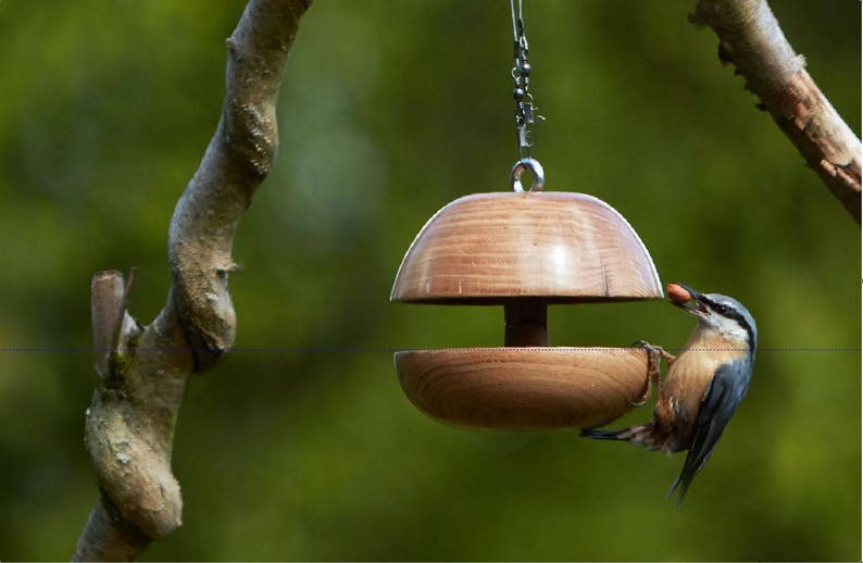 Oak Apple core Bird feeder Large image 3