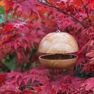 Oak Apple core Bird feeder Medium image 1