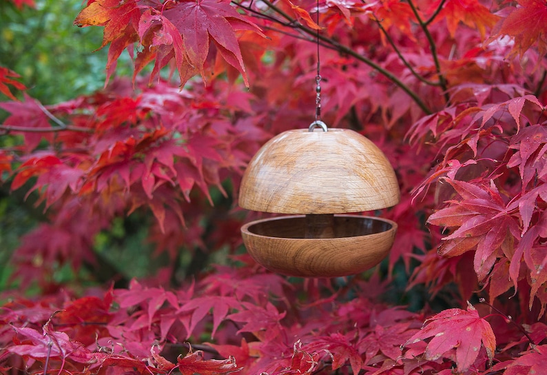 Oak Apple core Bird feeder Medium image 1