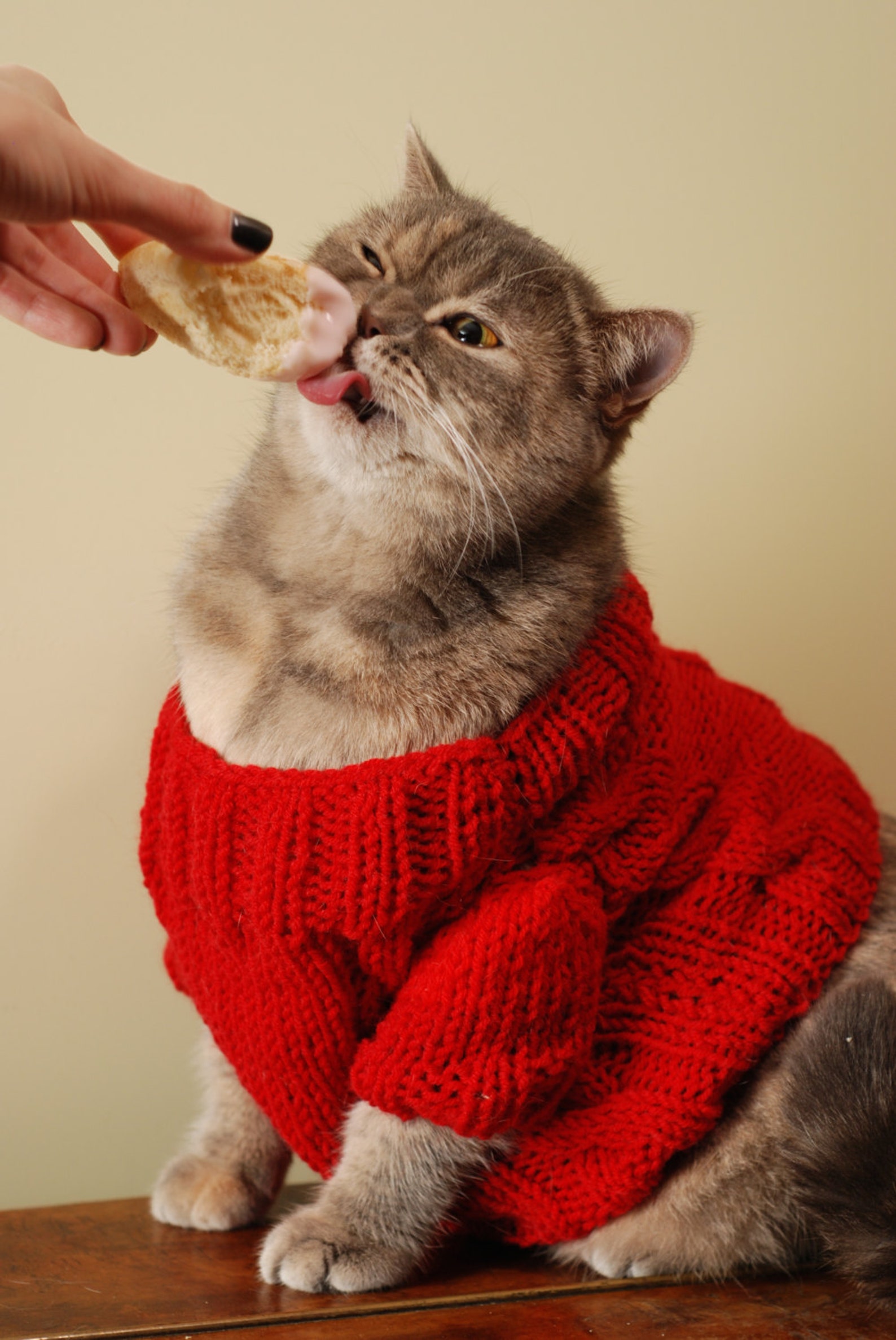 FUNAT Kapuzenpullover Für Katzen - Warmer Fleece Wintermantel Für Kalte Tage