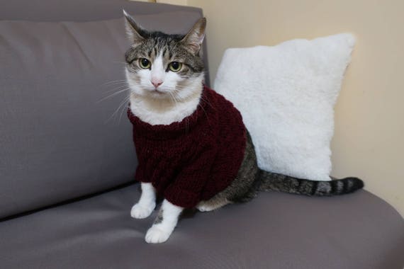 cat wool sweater